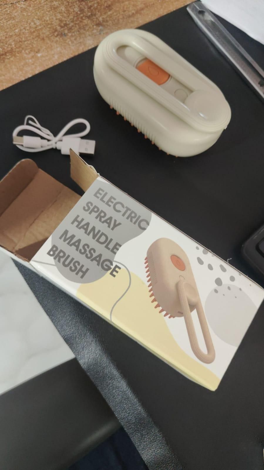 PA01 Steam Pet Brush