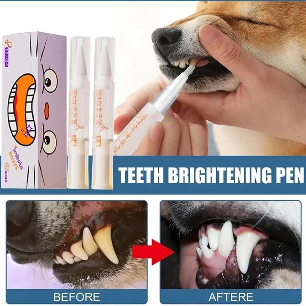 PA04 Dog Pen Toothbrush