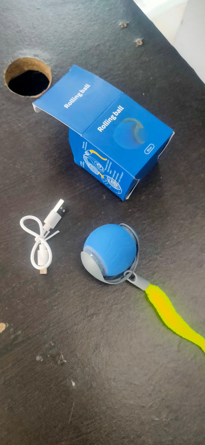 PA02 Rolling Ball Cat Toy
