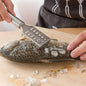 KT05 Fish Scale Remover Scraper (Pack of 2)