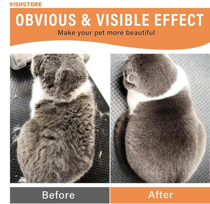 PA01 Steam Pet Brush